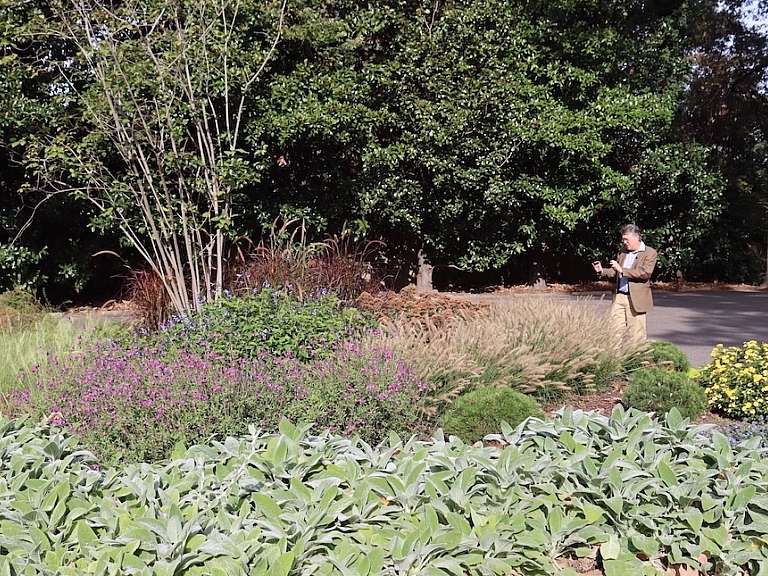 parking lot island garden, man standing in back right