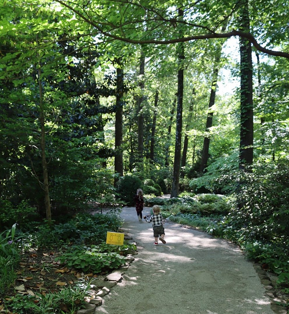 children running along gravel path through wooded gardens