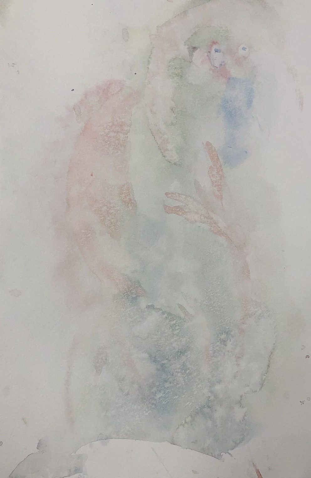 Marian Cravens The Monkey Thinker