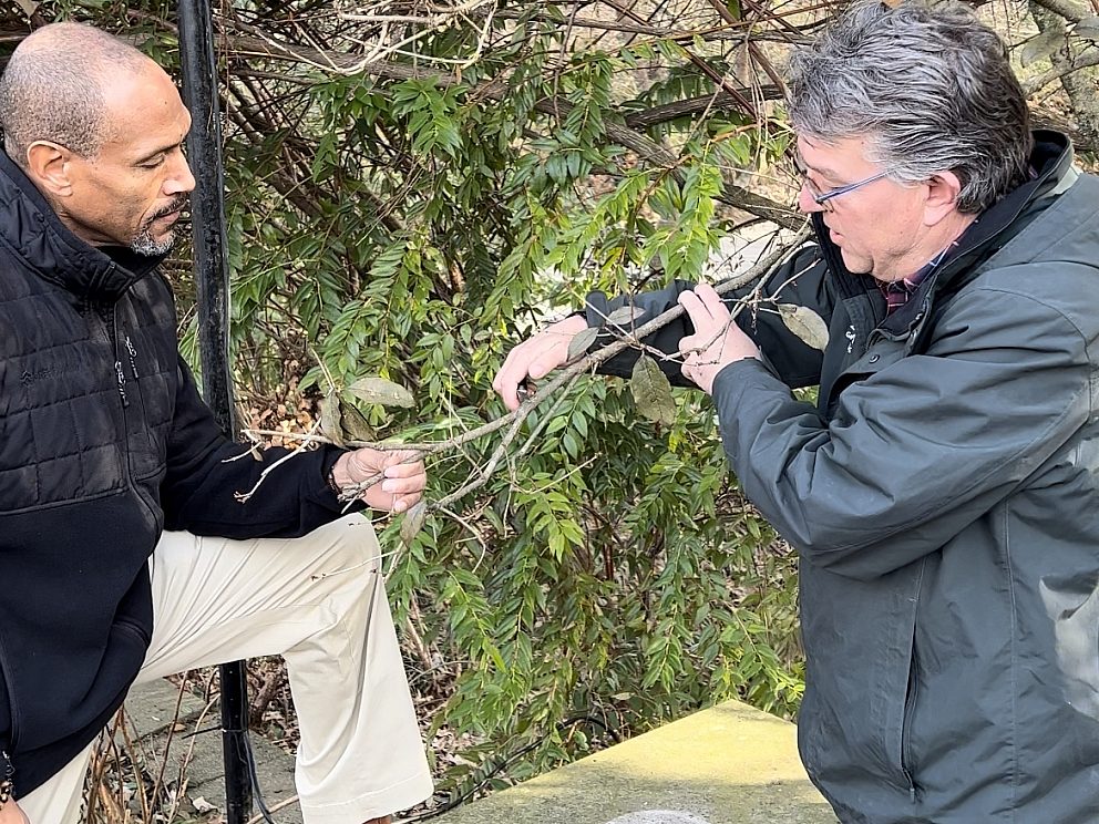 IMG F367 A51138 D4 1