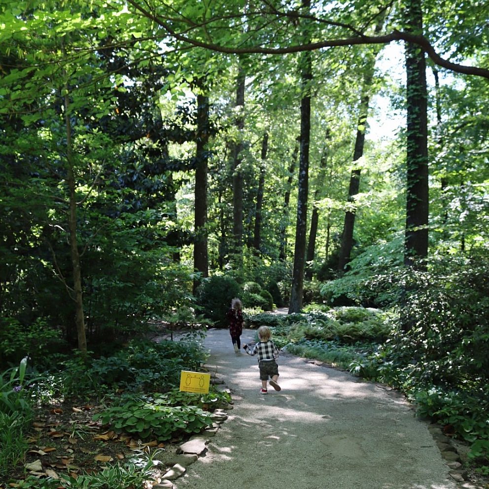 children running along gravel path through wooded gardens