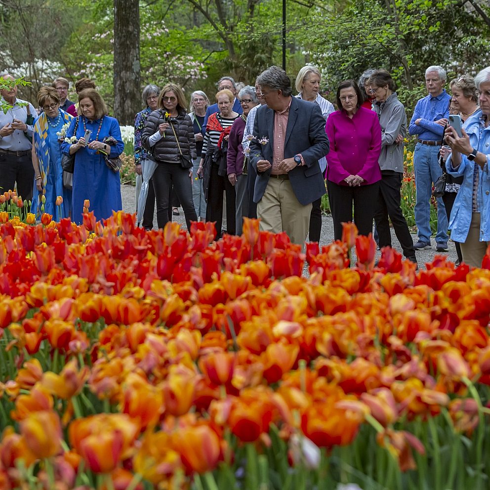 Margaret oates dixon society 2023